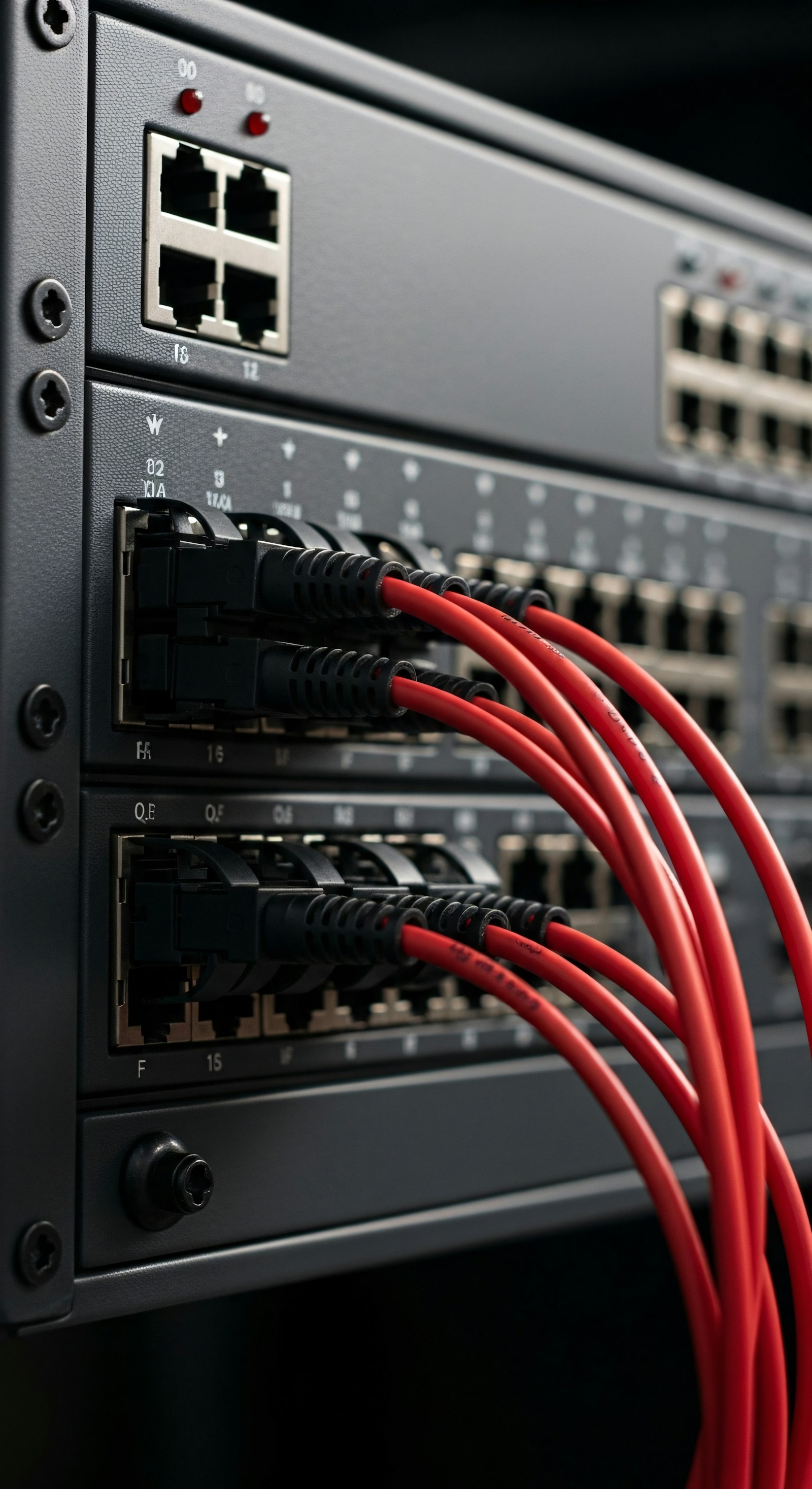 Red patch cables plugged into a network switch